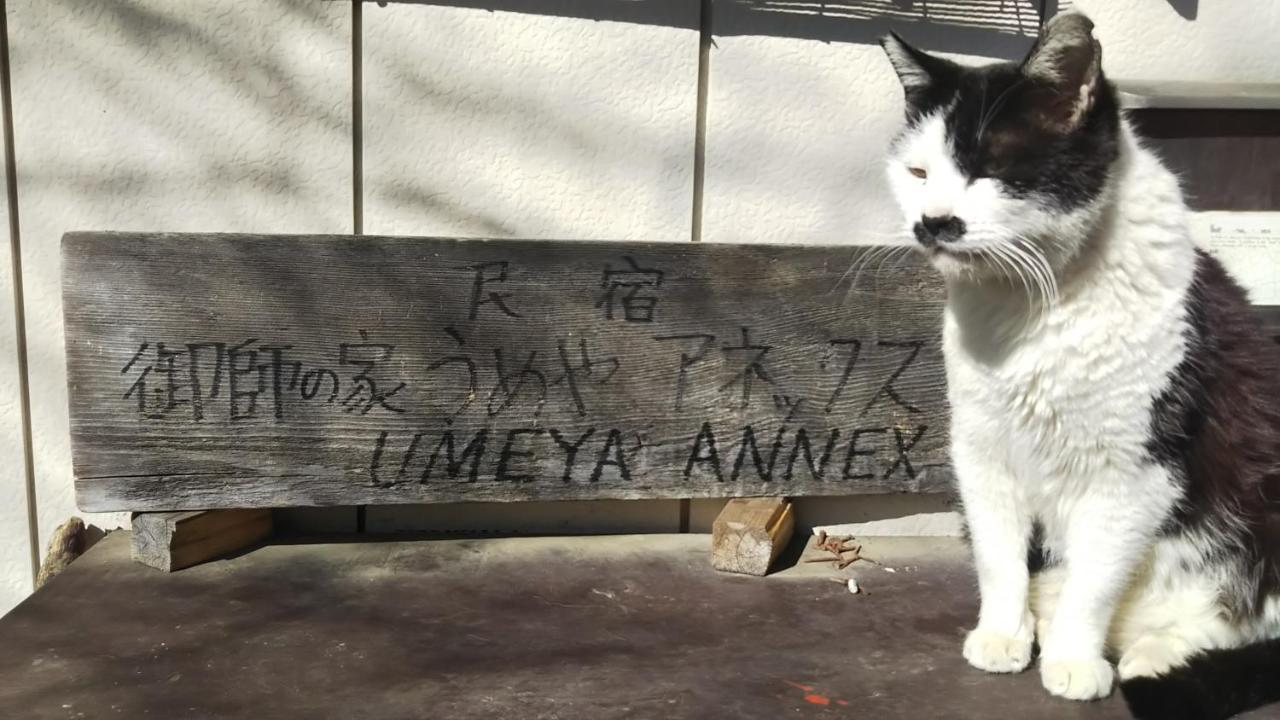Umeya Annex Pension Fujikawaguchiko Buitenkant foto