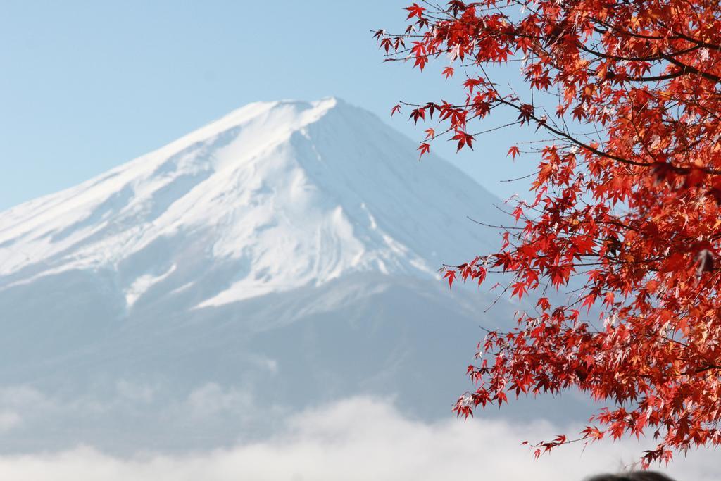Umeya Annex Pension Fujikawaguchiko Buitenkant foto